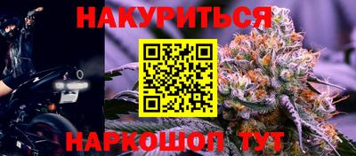 крисы Ирбит